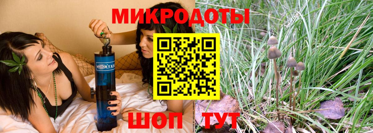 Димитровград  Галлюциногенные грибы ЛСД  Вход с VPN 